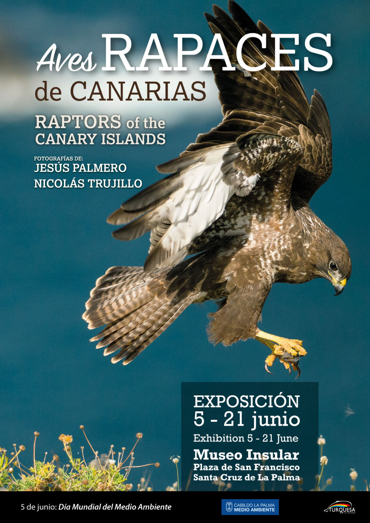 Cartel Aves Rapaces de Canarias LA PALMA (1)