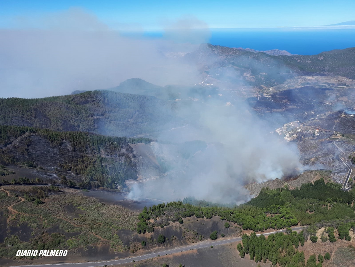 110819 Fotos Incendio Gran Canaria 2