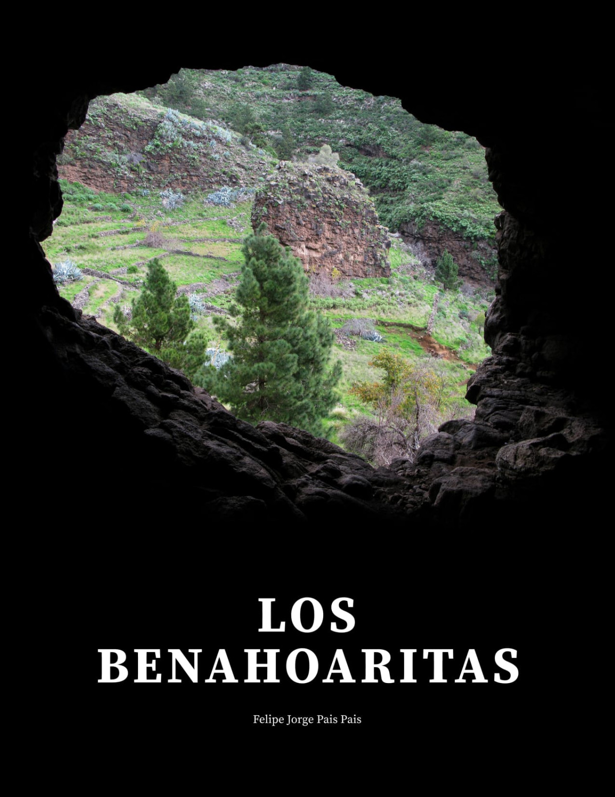 Libro Los Benahoaritas Monografu00eda de Jorge Pais