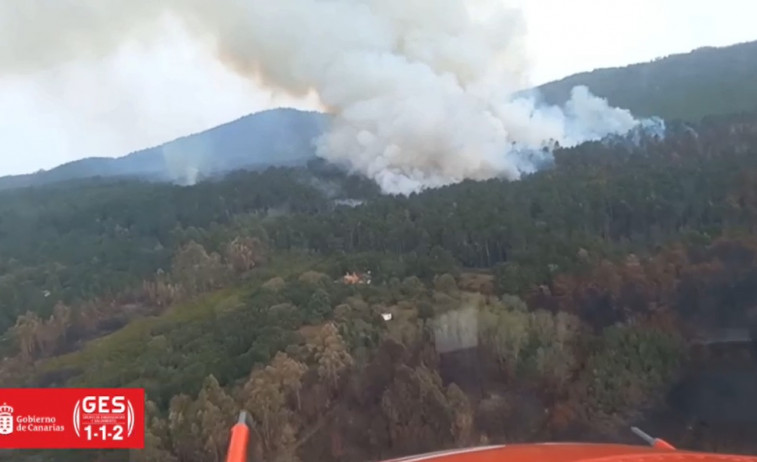 091023 Reactivación Incendio forestal Tenerife