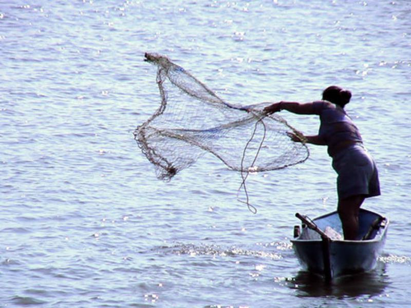 Mujeres pescando 800x600