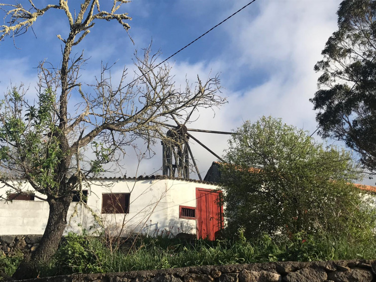 Molino de El Roque 1