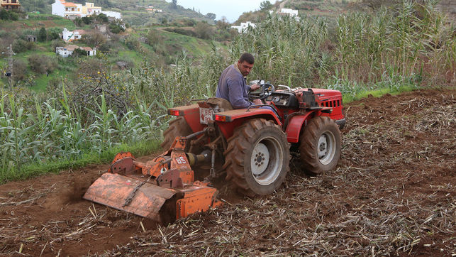 Agricultor trabaja Valleseco Gran Canaria EDIIMA20181013 0185 19