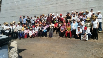 2434259 Grupo de trabajadores Version2