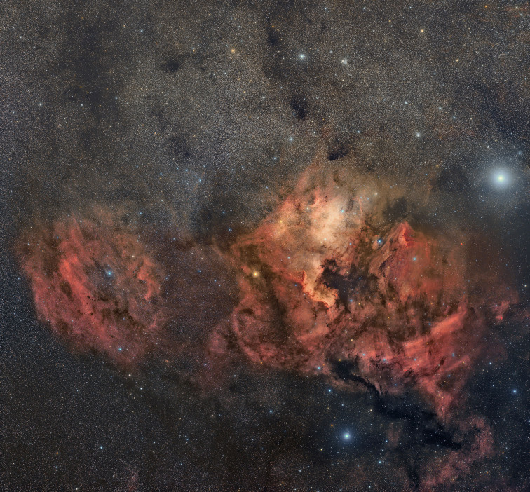 MENCION ESPECIAL CIELO PROFUNDO 2019   Zona de las Nebulosas Norteamérica Pelícano