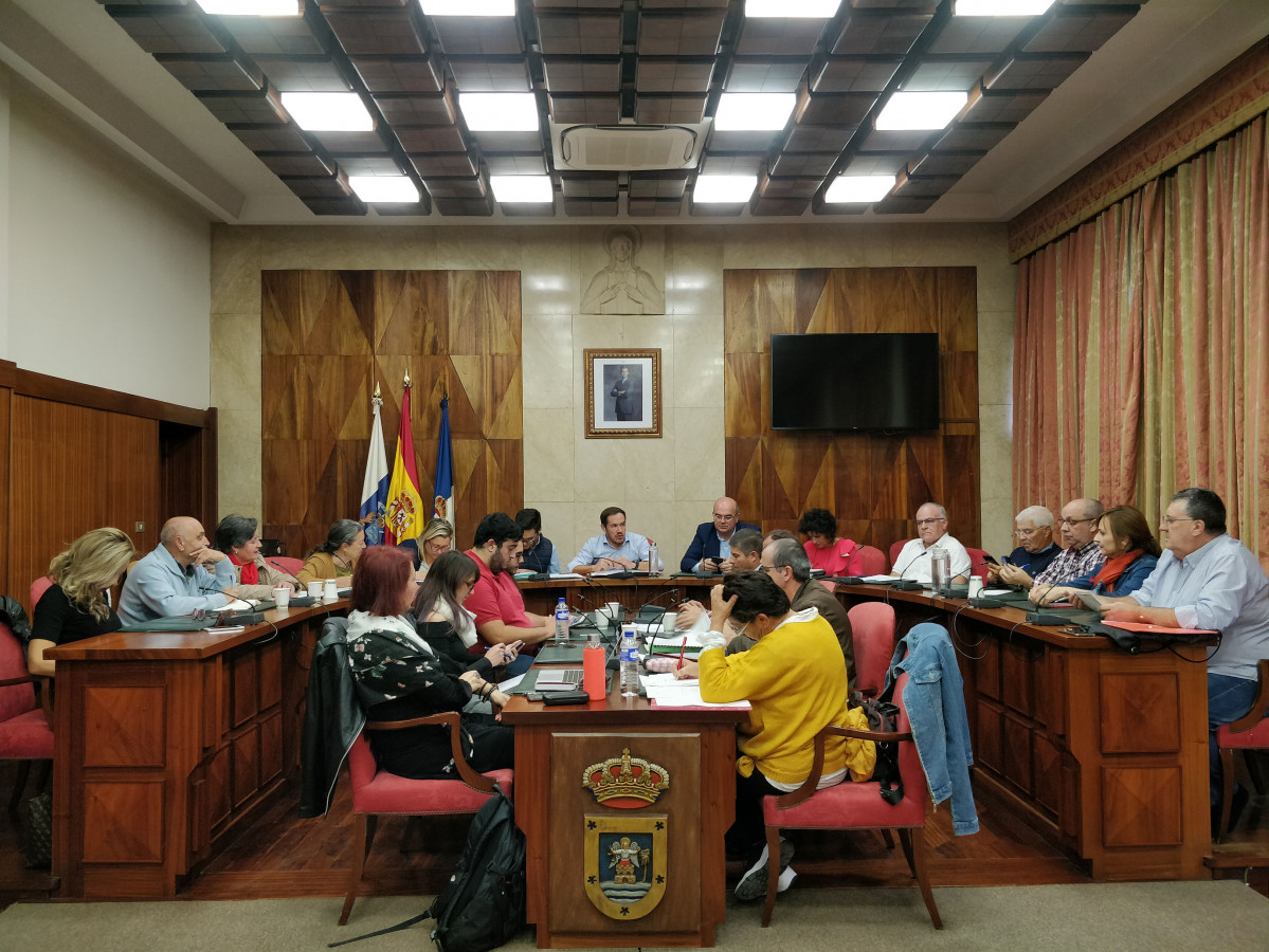 160120 Consejo Social de La Palma Presupuestos