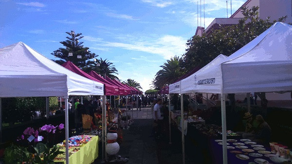 Mercadillo barlovento ron caa 2017