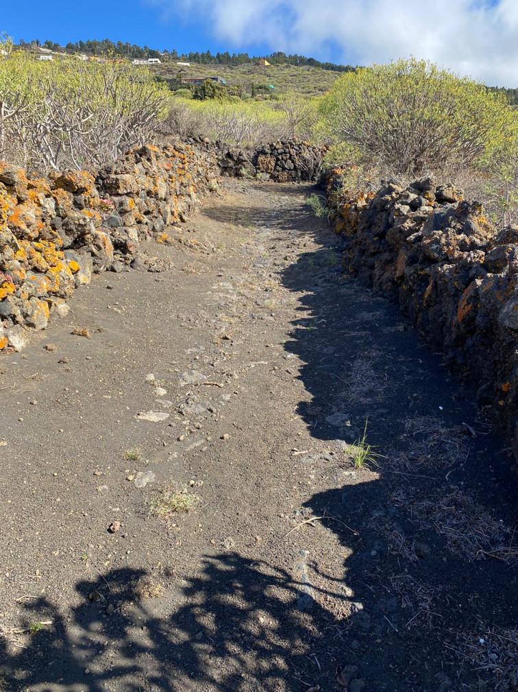 Recuperación Caminos Reales Fuencaliente (3)