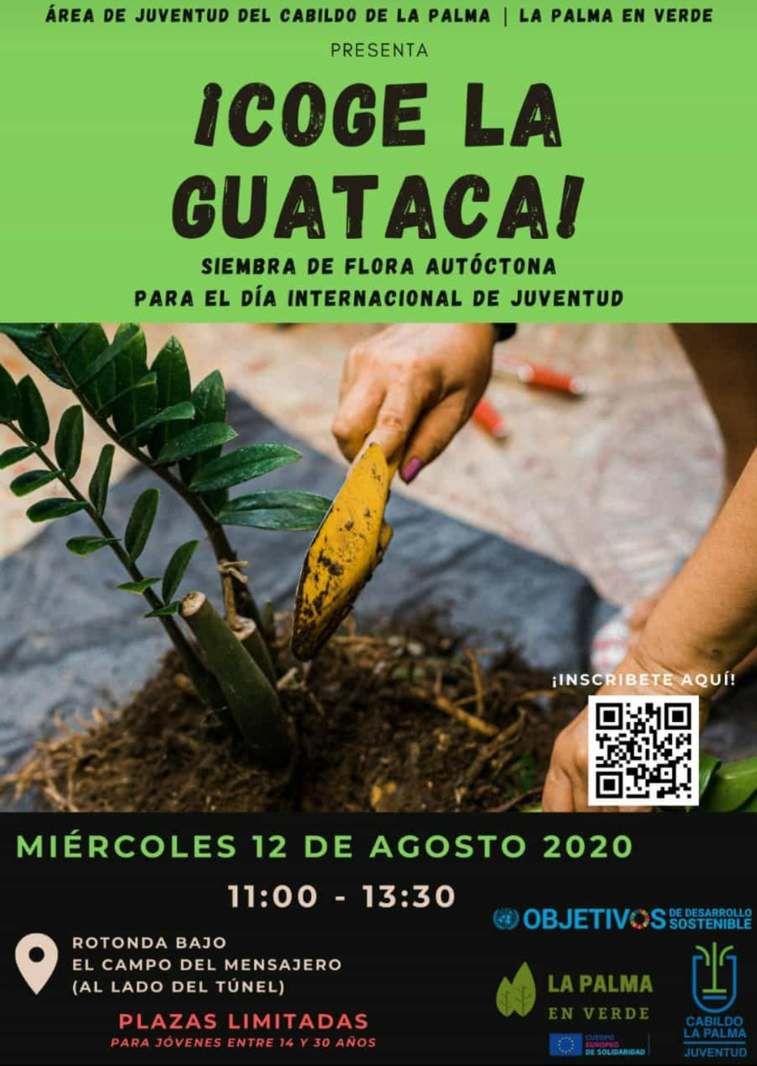 Cartel Coge la guataca