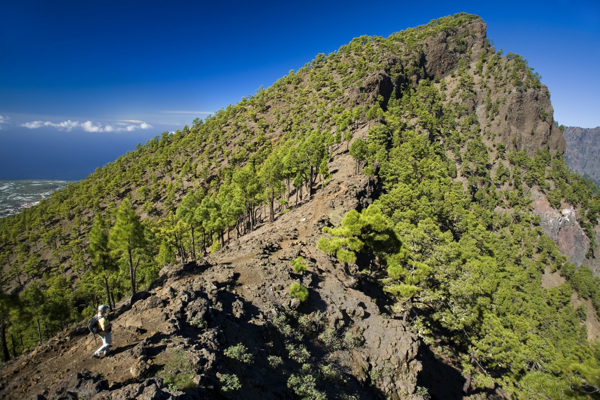 La Palma3 Bejenado RogerRovira
