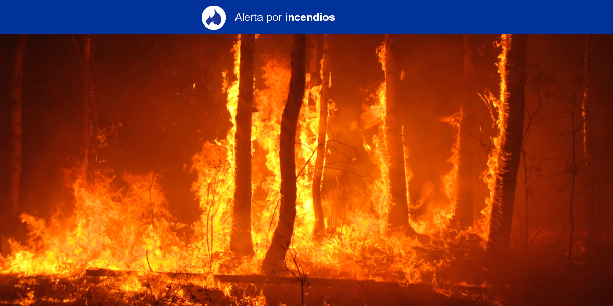 1200x600 incendios