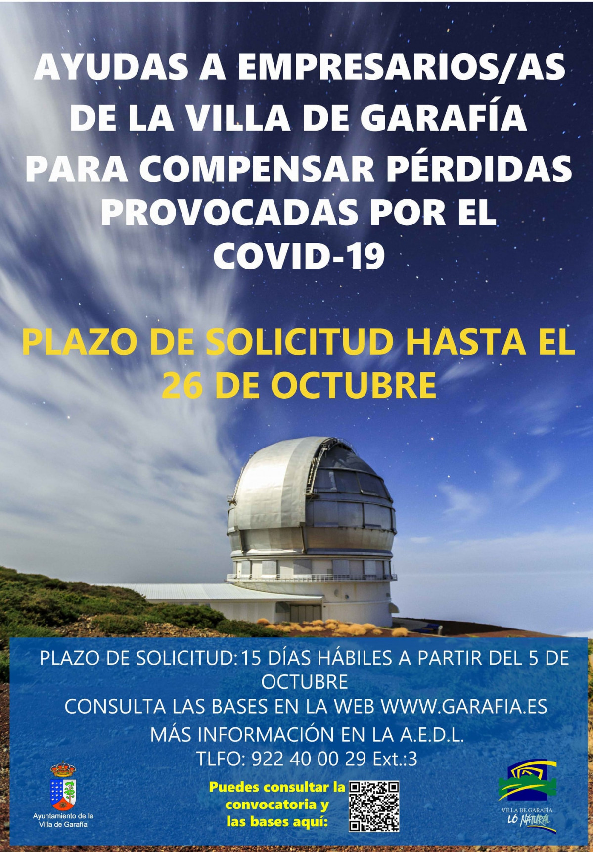 Ayudas empresarios covid19