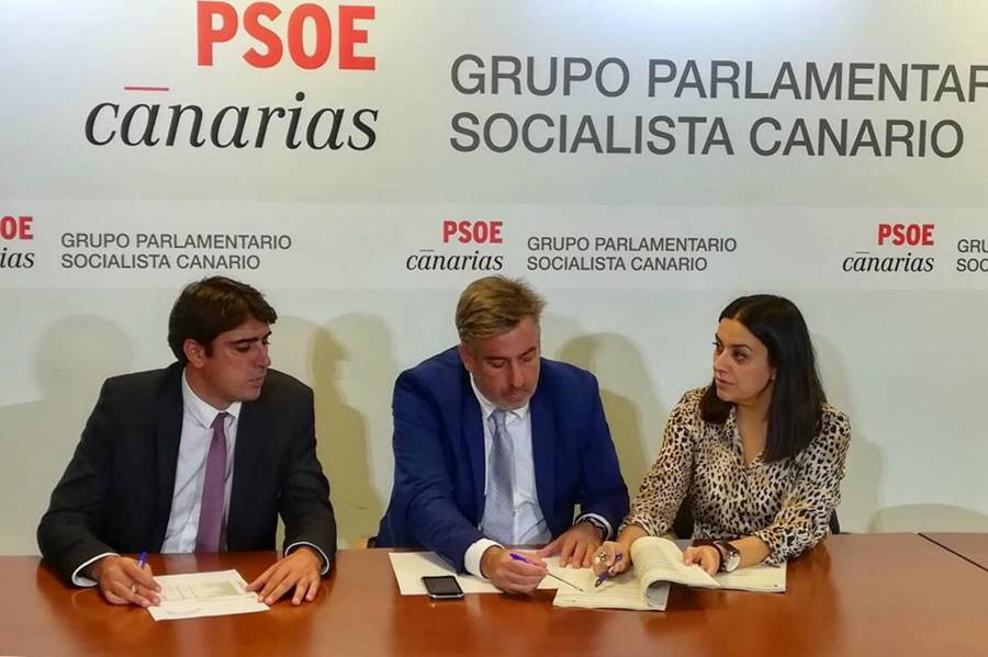 Diputados del PSOE La Palma