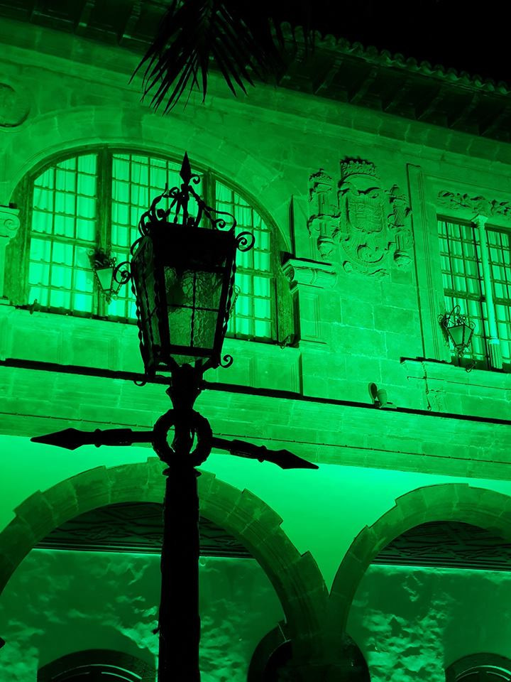 Ayuntamiento de Santa Cruz de La Palma (2)