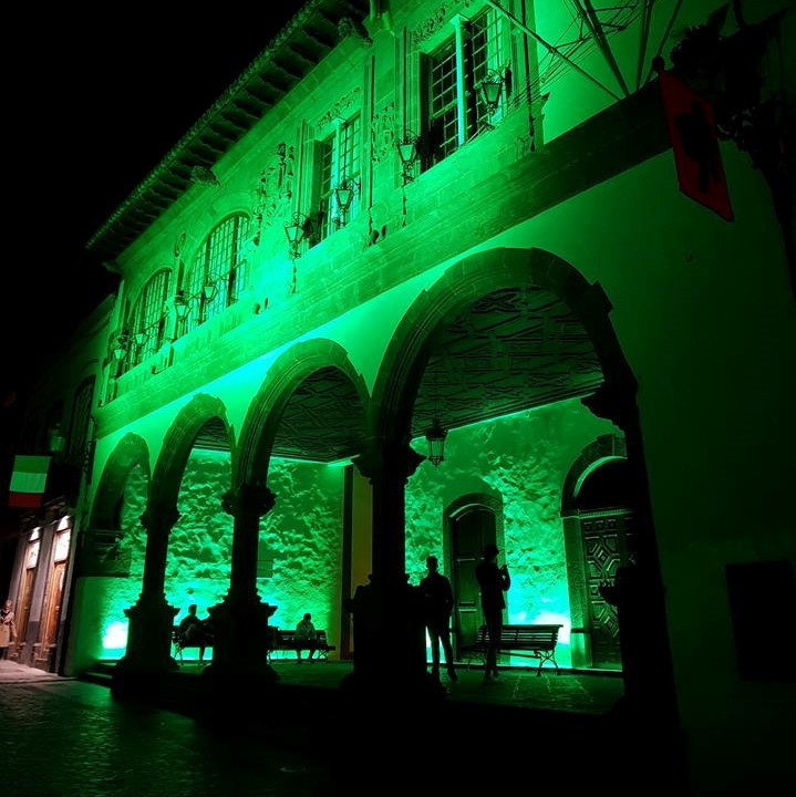Ayuntamiento de Santa Cruz de La Palma (4)