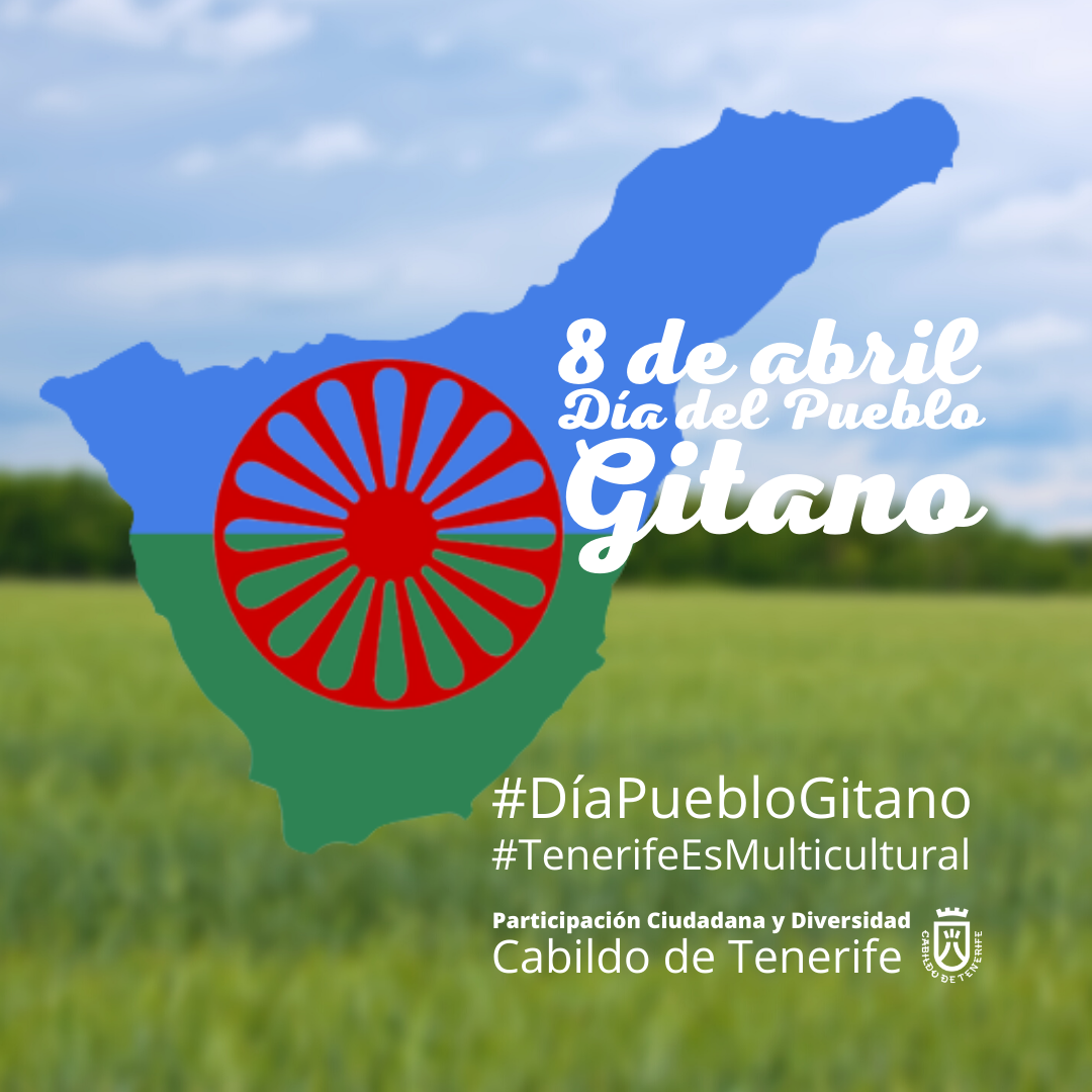 Participaciu00f3n Ciudadana Du00eda Pueblo Gitano