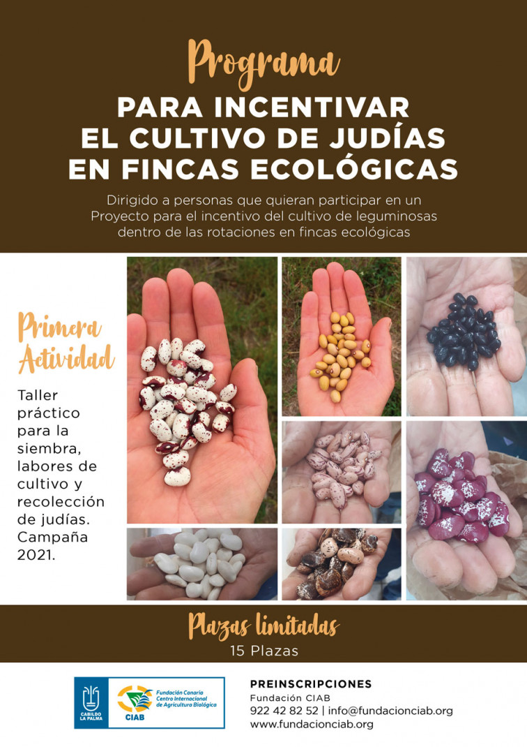 CARTEL LEGUMINOSAS