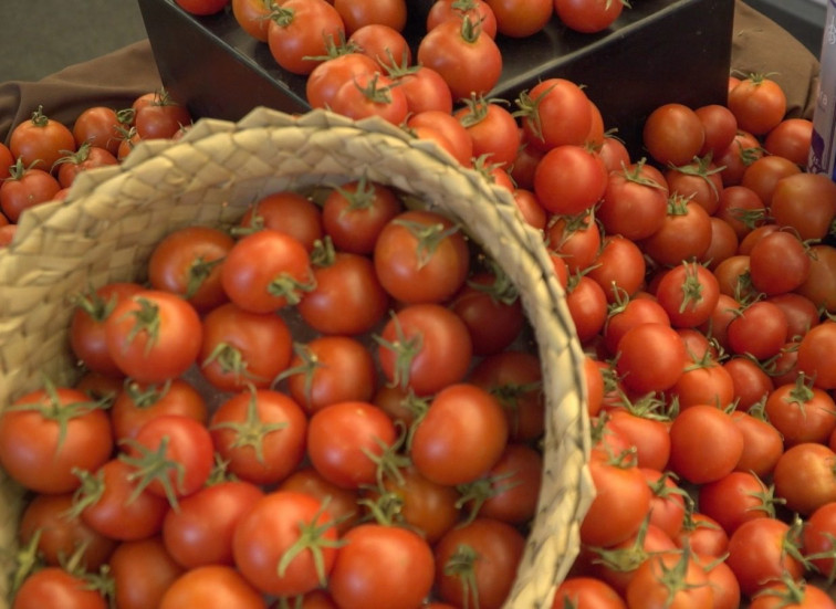 Tomate de canarias  e1590249203166