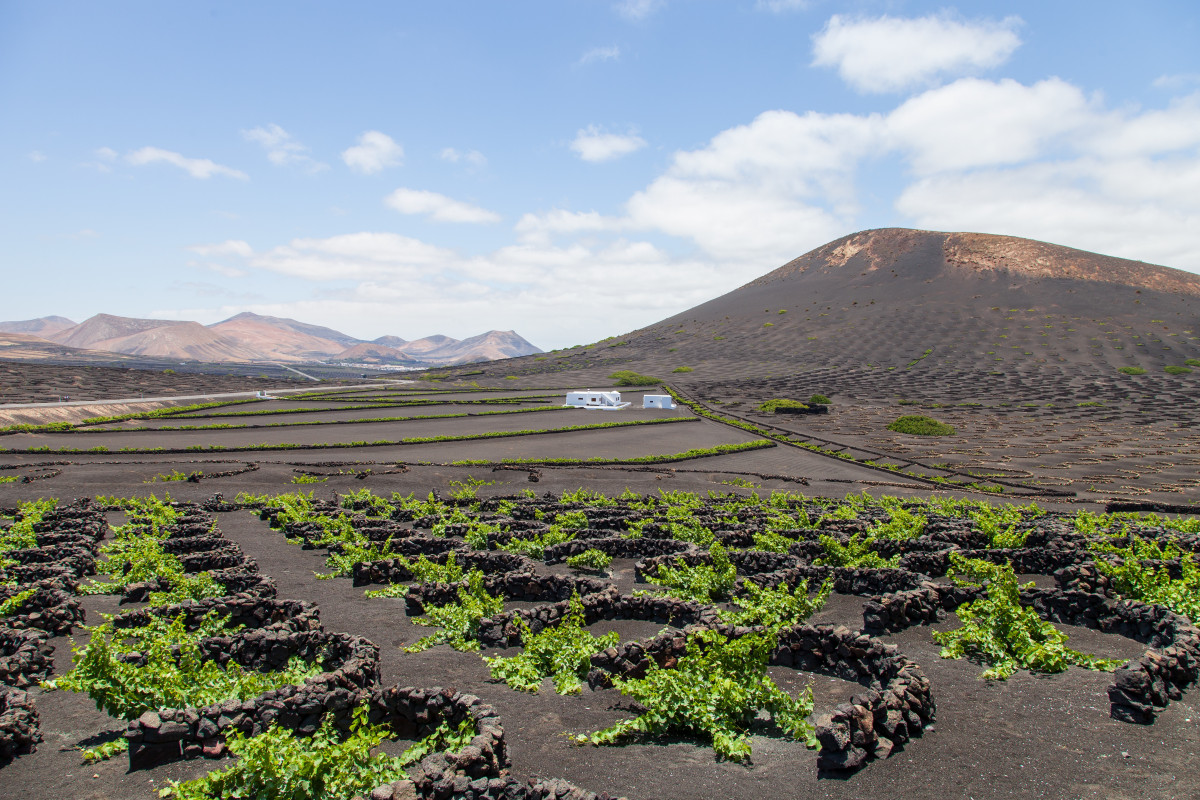 Lanzarote 3569314