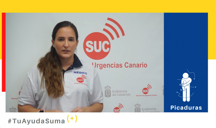 Tu ayuda suma Picaduras de insectos y medusas