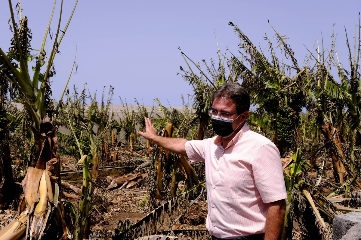 Dau00f1os agro palmero incendio y altas temperaturas Josu00e9 Adriu00e1n Hernu00e1ndez Montoya