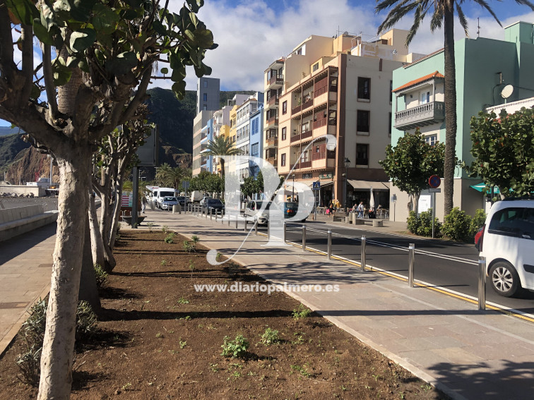 Avenida