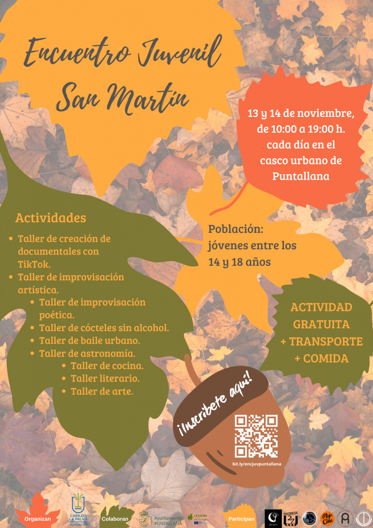 Encuentro Juvenil San Martín (Cartel)