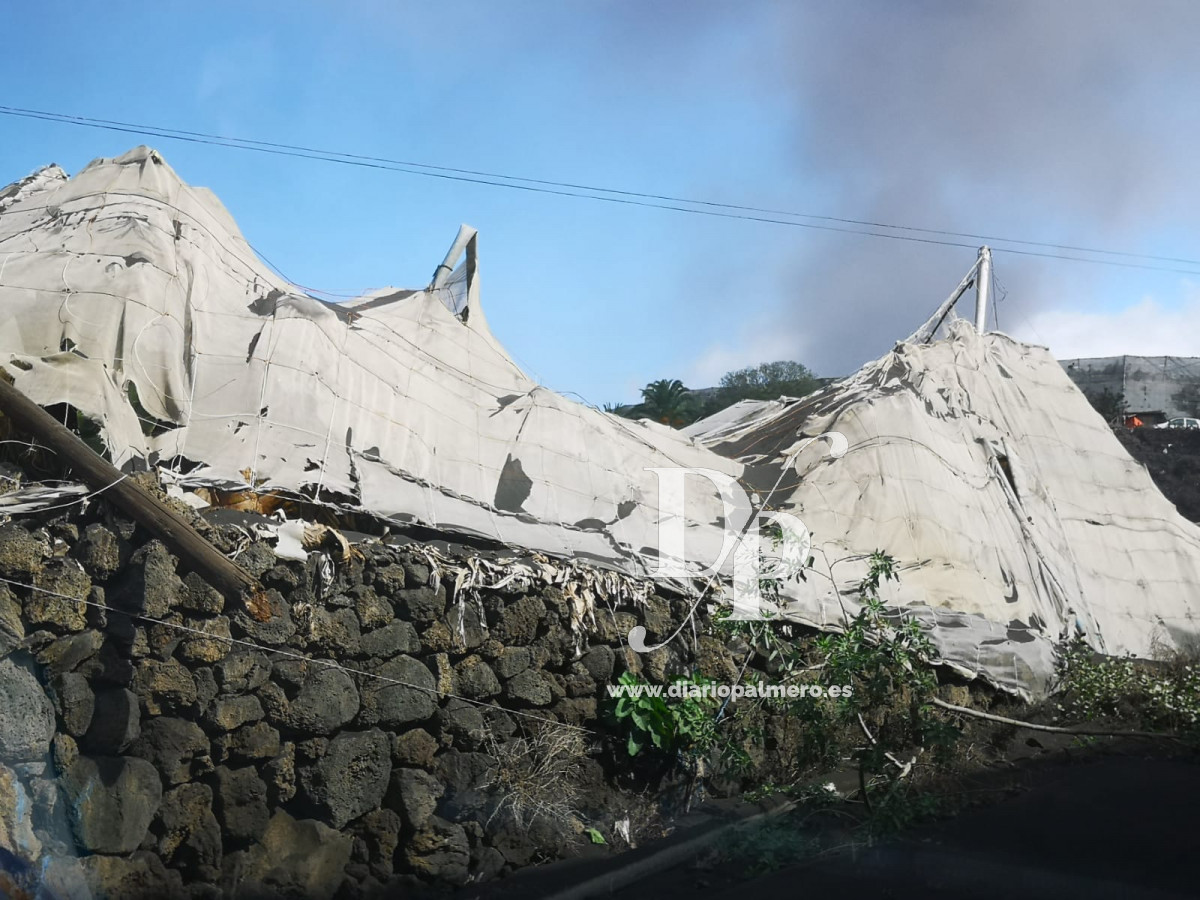 Invernadero