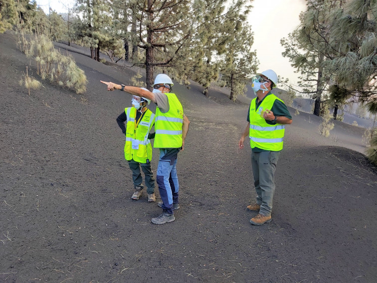 Estudio biodiversidad volcán La Palma