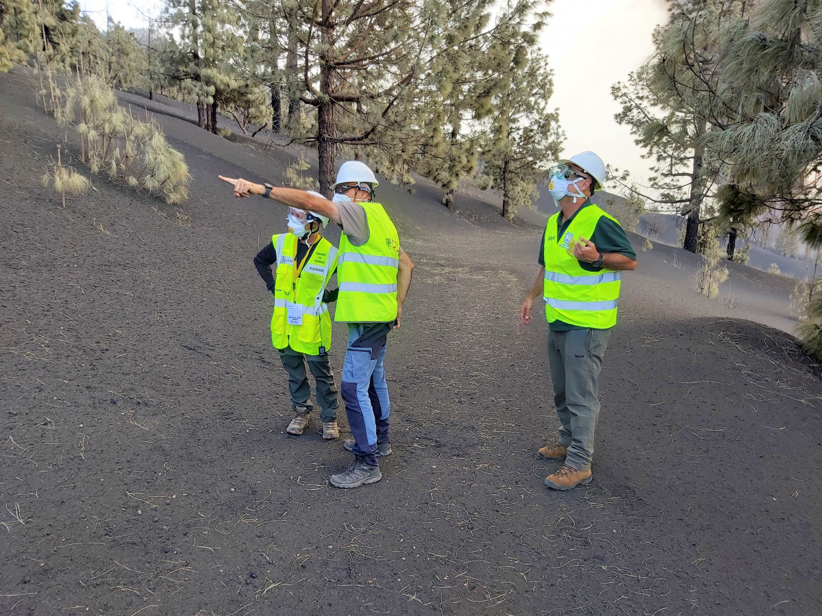 Estudio biodiversidad volcu00e1n La Palma