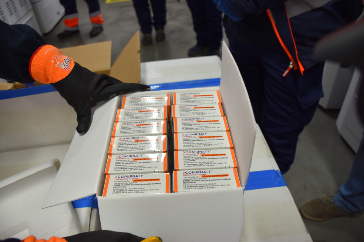 LLEGADA VACUNA PEDIu00c1TRICA PFIZER (17)