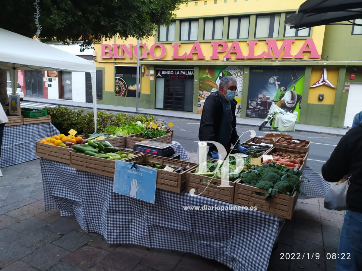 Mercadillo Los Llanos