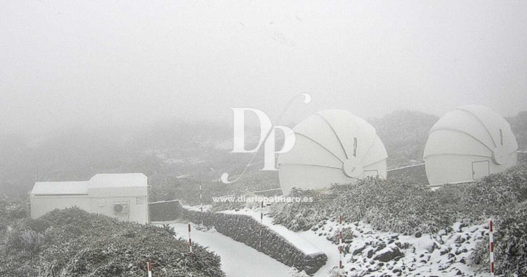 Nieve