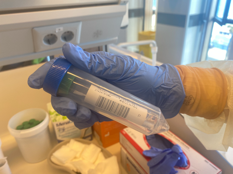 PCR