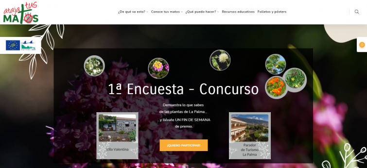 Encuesta portada