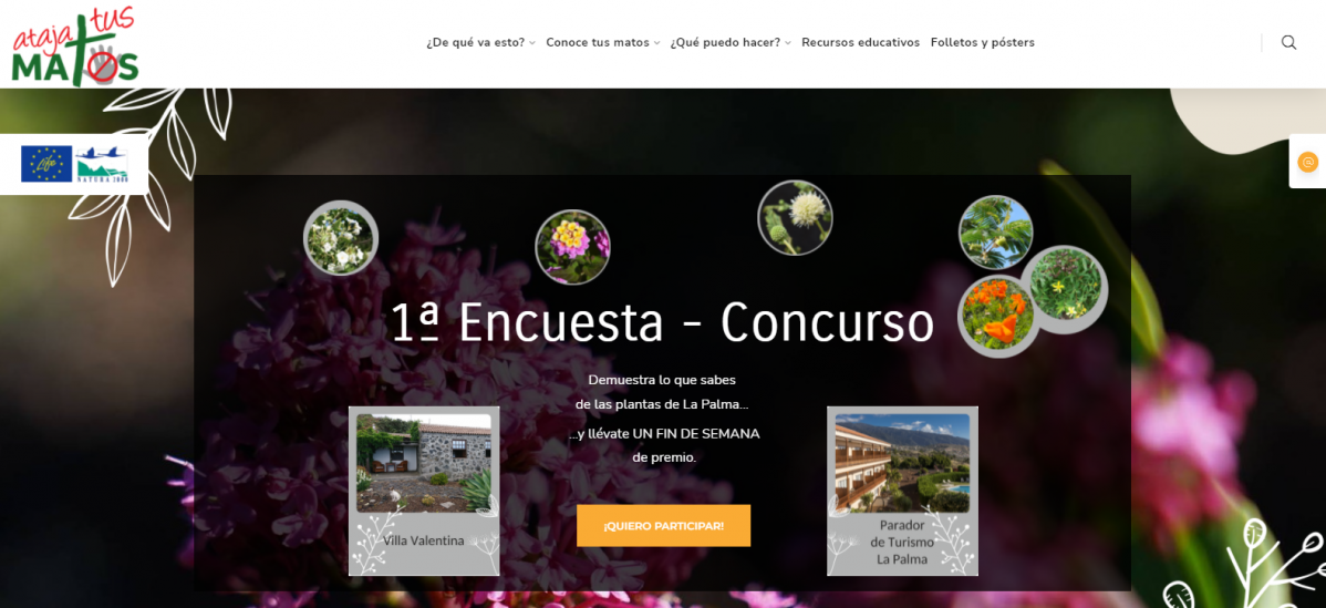 Encuesta portada