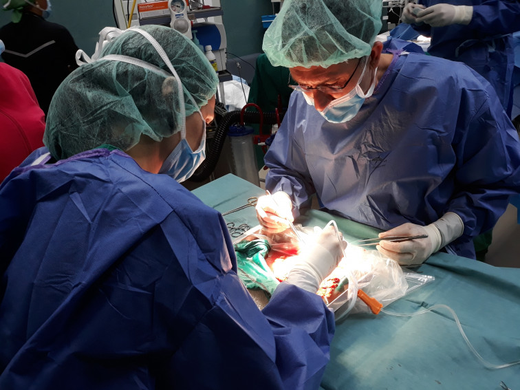 Tx renal de vivo perfusión riñón