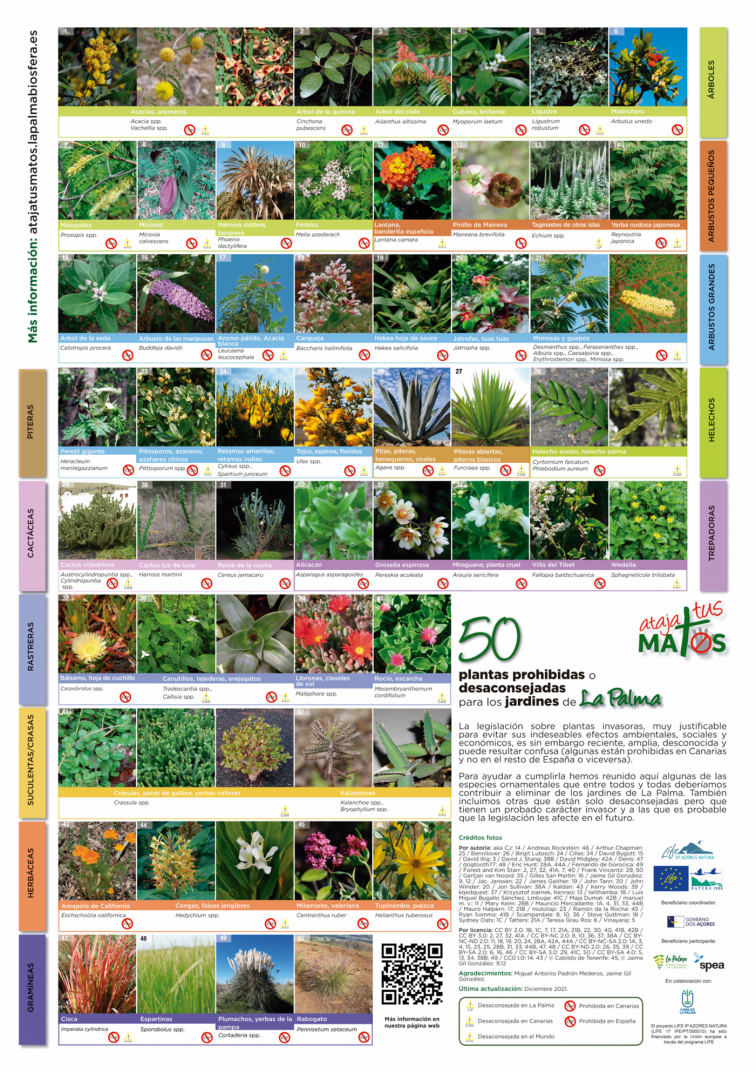Poster plantas