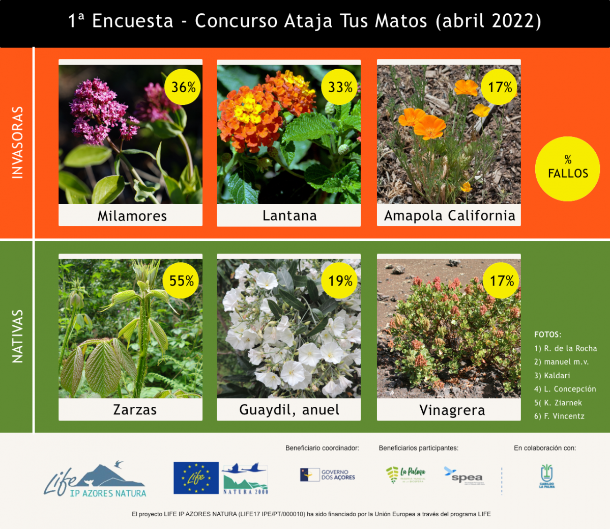 Encuesta concurso