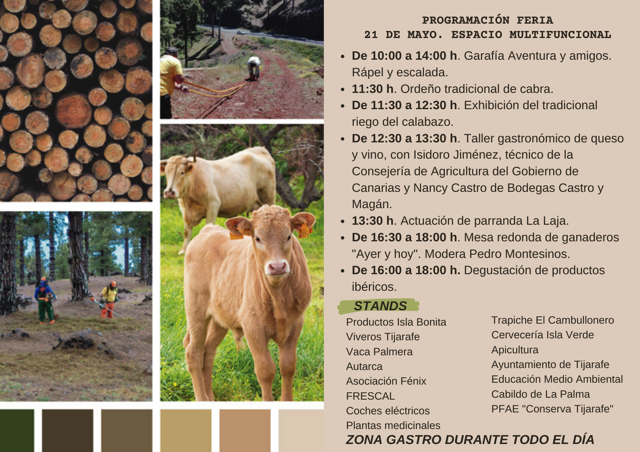 Programación feria