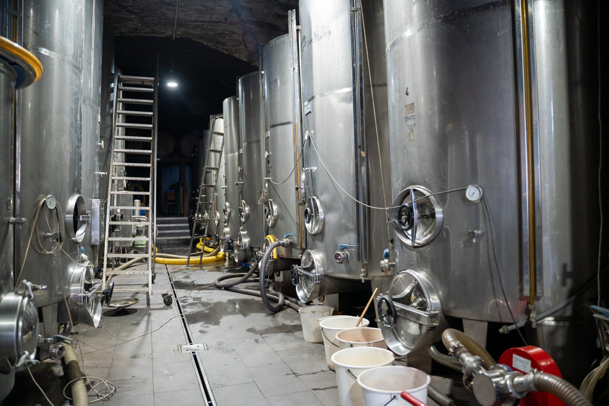 Bodega Diario Palmero 