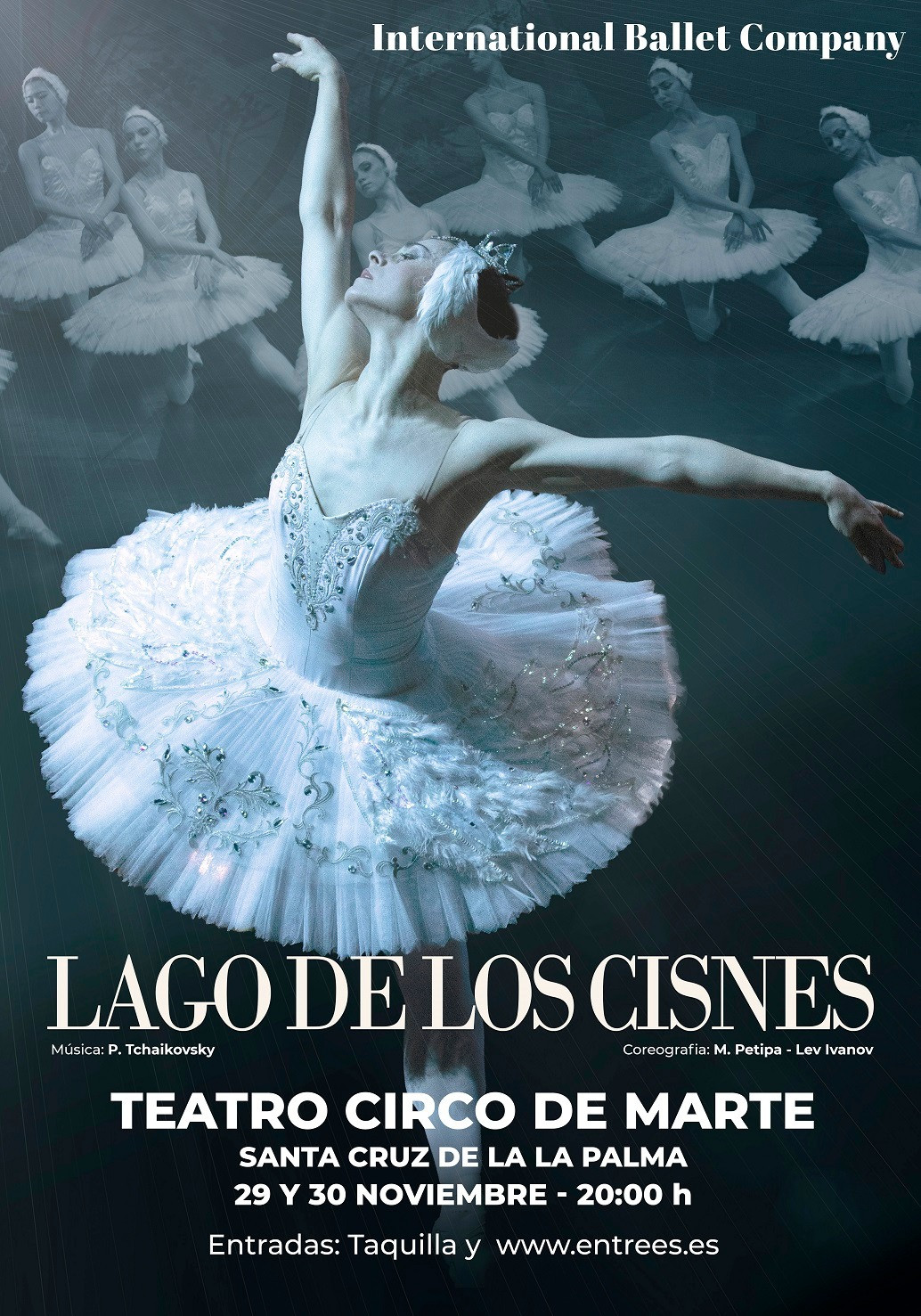 Cartel lago de los cisnes