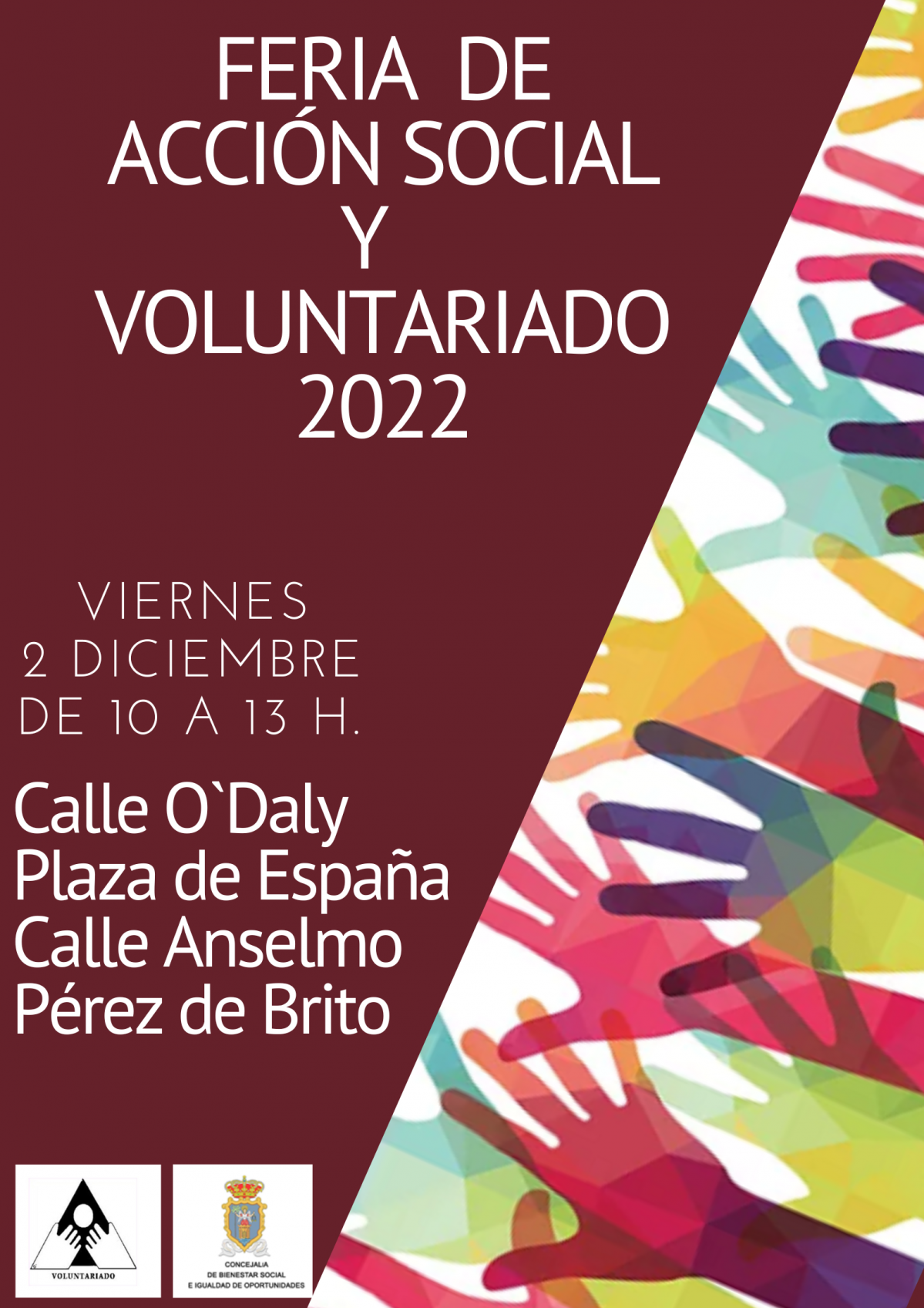 CARTEL VOLUNTARIADO 2022