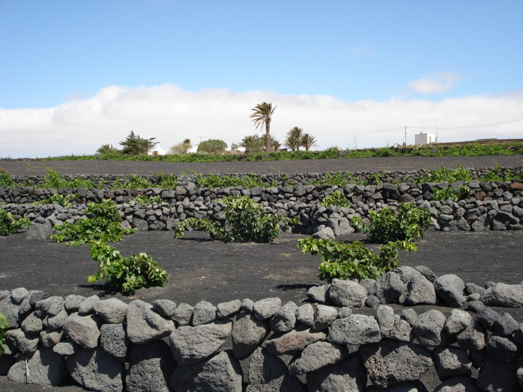 GMR Vina Lanzarote 2 2048x1536