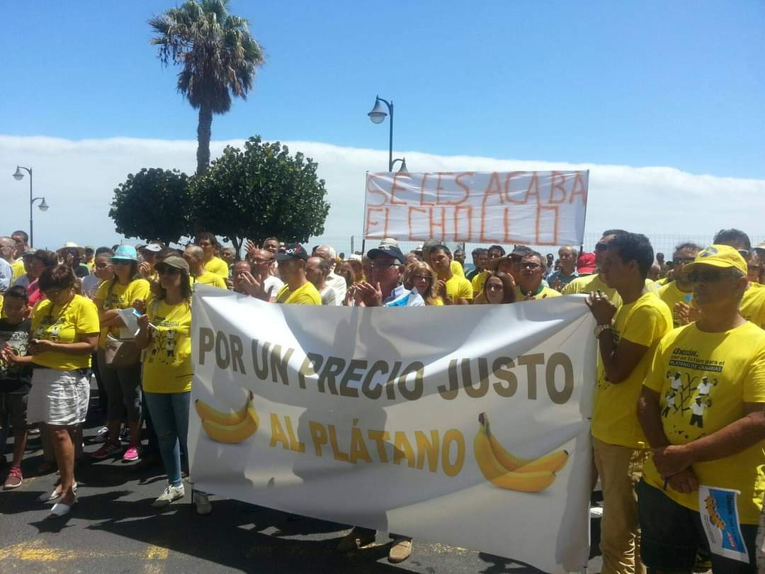 Una pasada manifestaciu00f3n convocada por la plataforma (1)