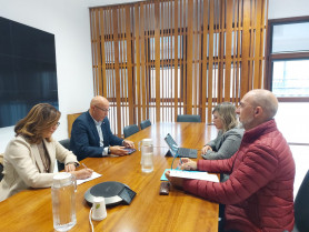 Comisión seguimiento ULL