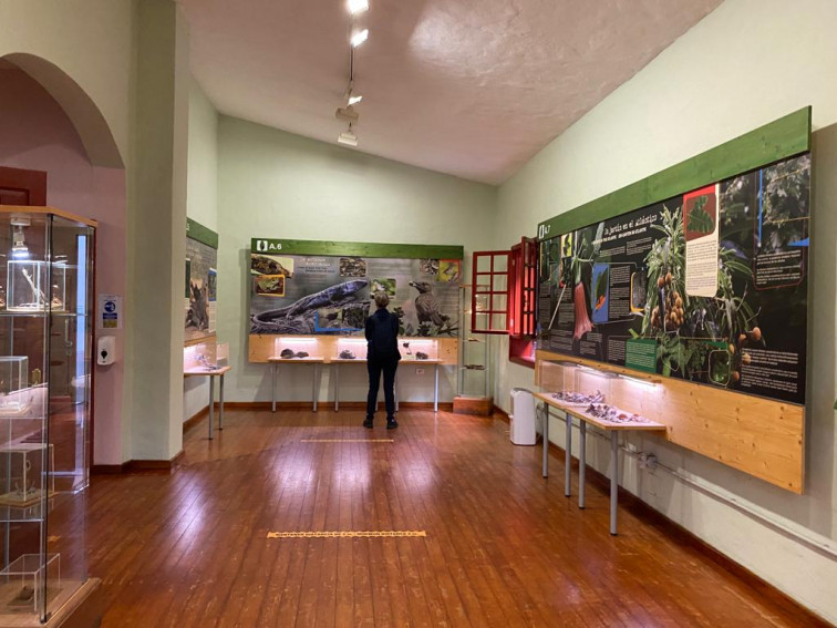 Musealización Los Tilos