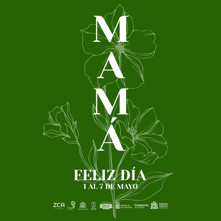 RRSS DÍAMADRE