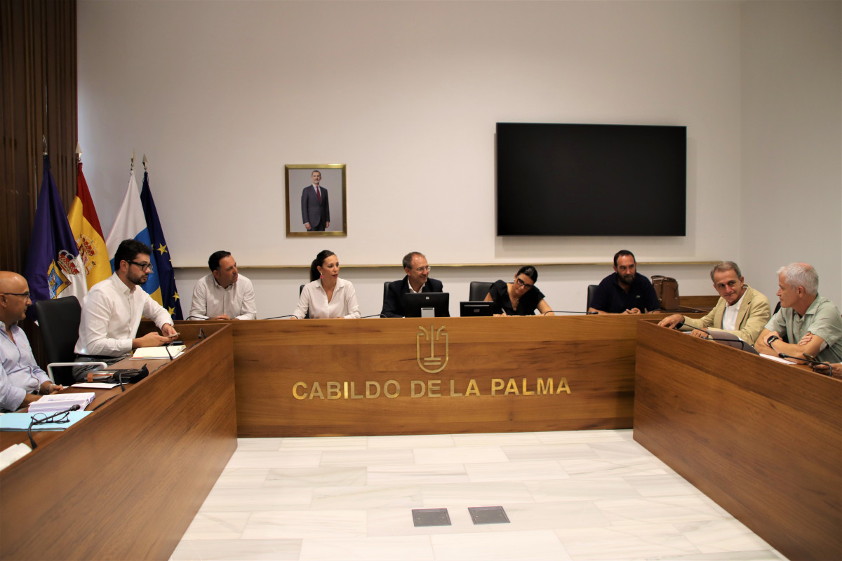 Reuniu00f3n consejera Jessica de Leu00f3n en el Cabildo de La Palma