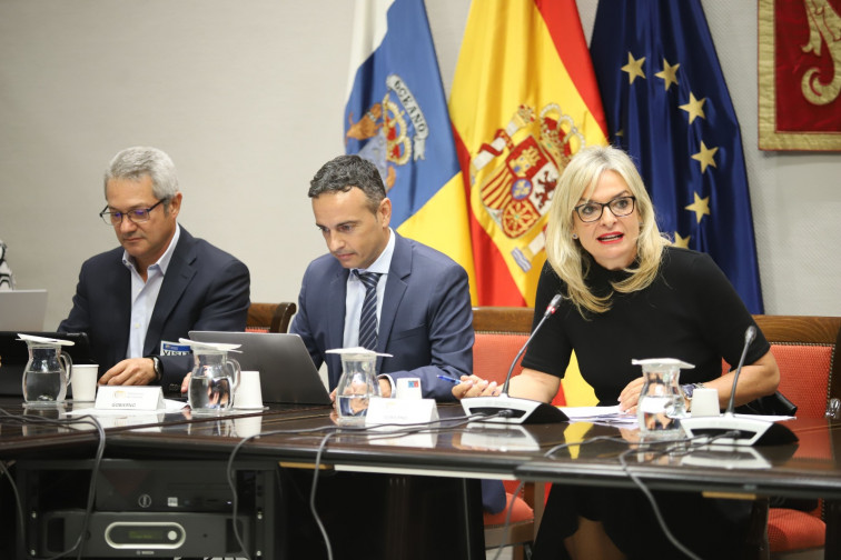 La consejera Esther Monzon durante su intervencion en la Comision de Presupuestos y Hacienda